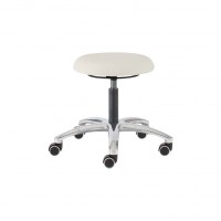 14161 - 14161 - Laboratory stool